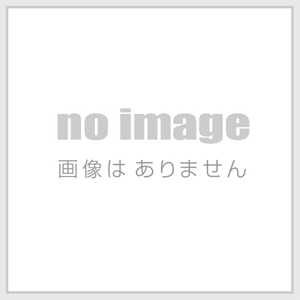 BLITZ シビック タイプR FK8 スロットルコントローラー Sma Thro (スマスロ)